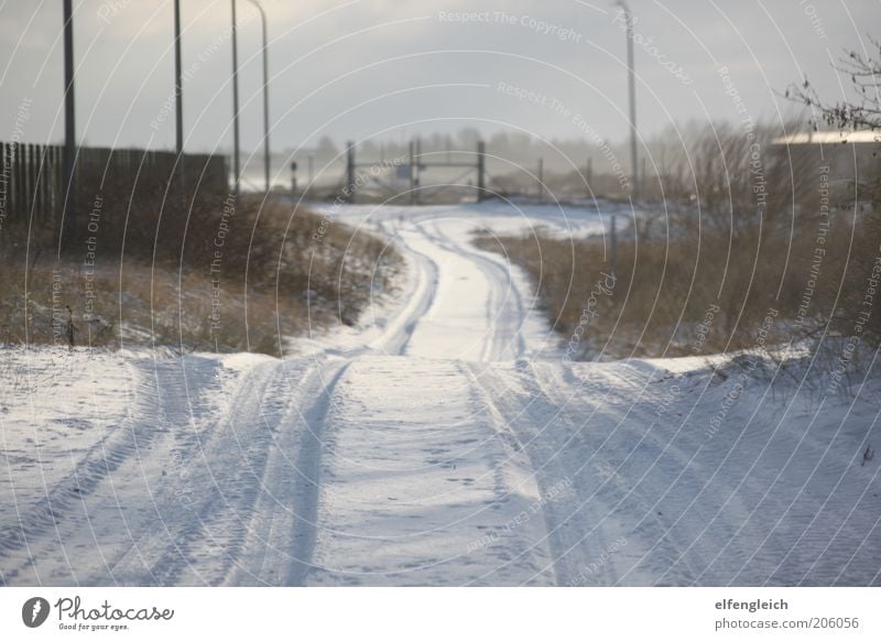 snow road Nature Landscape Winter Snow Traffic infrastructure Street Calm No through road Gate Fence Colour photo Exterior shot Deserted Day Light Shadow