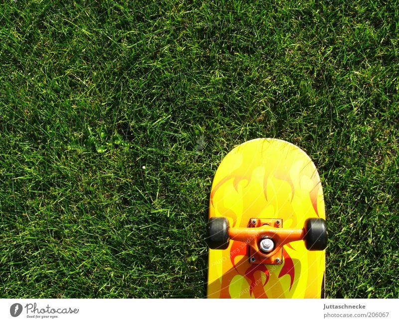 Board on Green Summer Sports Skateboard Youth culture Garden Meadow Yellow Stagnating Wheel Ball bearing Skateboarding Colour photo Exterior shot Deserted