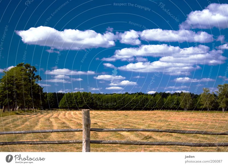 It's summer. Summer vacation Sky Clouds Beautiful weather Grass Meadow Fragrance Hot Dry Blue Yellow Nature Hay Hay harvest Pasture Fence Fence post