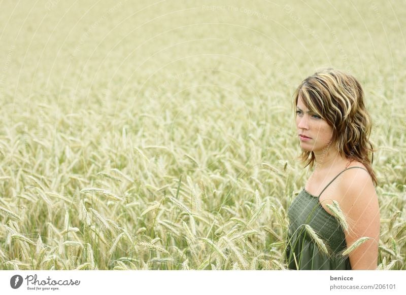 grain Human being Grain Cornfield Stand Looking Loneliness Wheat Field Long-haired Youth (Young adults) Dreamily Nature Touch Life Thin Beautiful Dress Summer