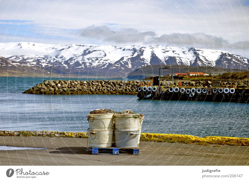 Iceland Environment Nature Landscape Water Sky Clouds Climate Mountain Fjord Navigation Harbour Moody Loneliness Idyll Calm Fishery Fishing port Bucket Trough