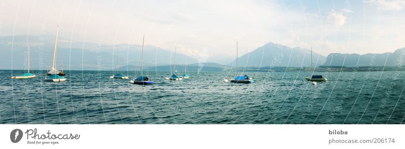 Lake Thun Vacation & Travel Freedom Summer Waves Mountain Nature Landscape Sailboat Sailing ship Watercraft Discover Relaxation Blue Green White Moody