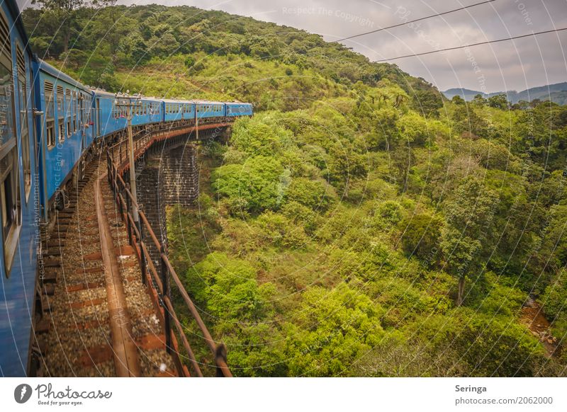 Travelling by train Vacation & Travel Tourism Trip Expedition Summer vacation Sun Mountain Hiking Environment Nature Landscape Plant Animal Sky Horizon