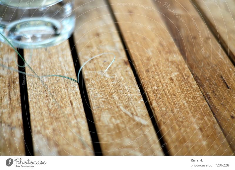 The little things Grass Glass Blade of grass Teak Wooden table Delicate Subdued colour Exterior shot Shallow depth of field Day