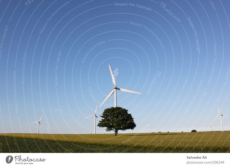 Photosynthesis3.0 Energy industry Renewable energy Wind energy plant Wheatfield Field Schleswig-Holstein Good Environmental protection Blue Sky Tree Agriculture