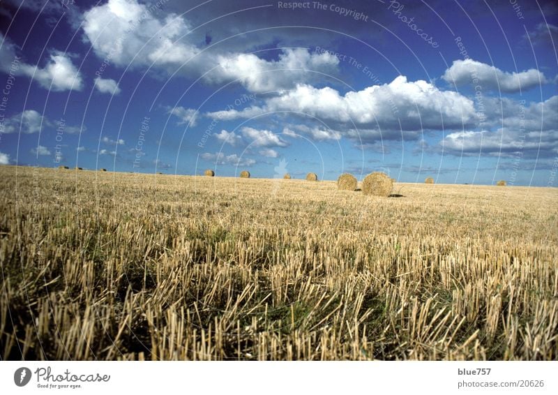 North East 2 Straw Field Round Yellow Clouds Bale of straw Sky Blue