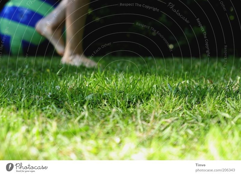The game is over... Leisure and hobbies Playing Children's game Legs Feet 1 Human being Beautiful weather Garden Meadow Going Blue Green Movement Sports
