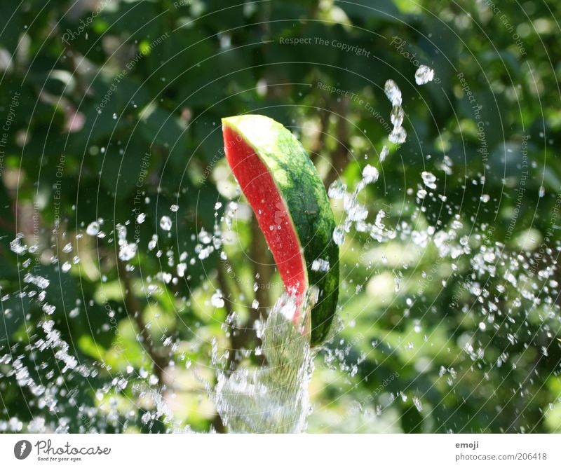 watermelon Fruit Fresh Green Water melon Nutrition Inject Throw in the air Summer Delicious Colour photo Exterior shot Day Shallow depth of field Drops of water