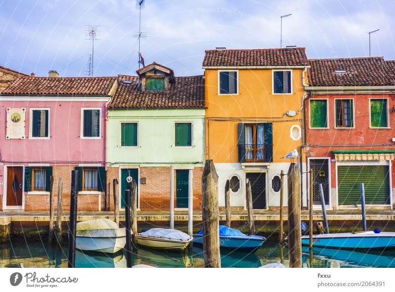 Colorful houses in Venice Murano Italy Europe Small Town Deserted House (Residential Structure) Dream house Building Architecture Boating trip Fishing boat
