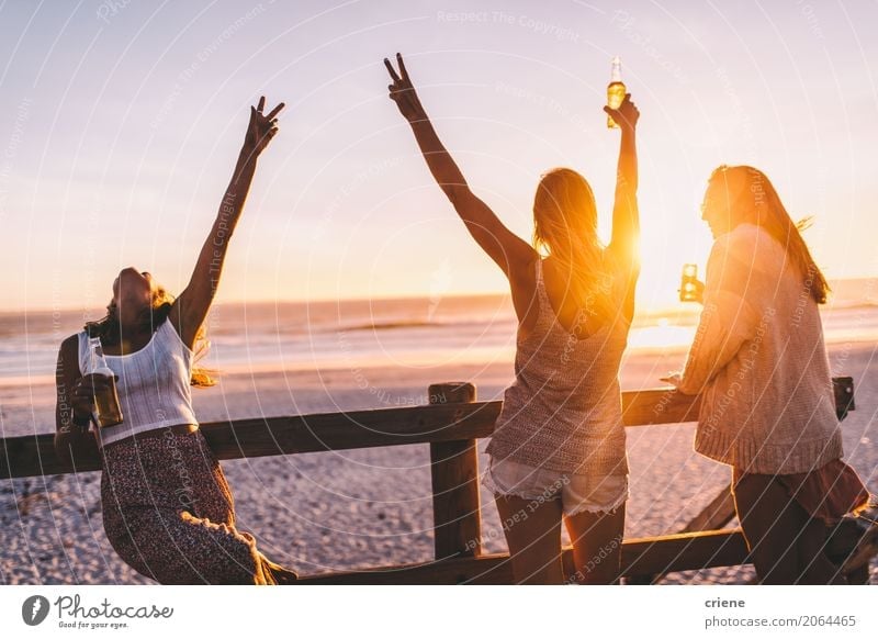 Group of happy friends celebrating with drinks in sunset Drinking Alcoholic drinks Beer Bottle Lifestyle Joy Vacation & Travel Freedom Summer Summer vacation