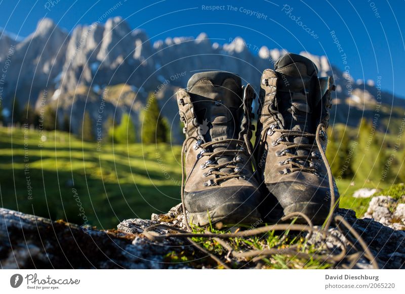 Shoes on and out!!! Vacation & Travel Tourism Trip Adventure Far-off places Freedom Expedition Summer vacation Mountain Hiking Landscape Cloudless sky Spring