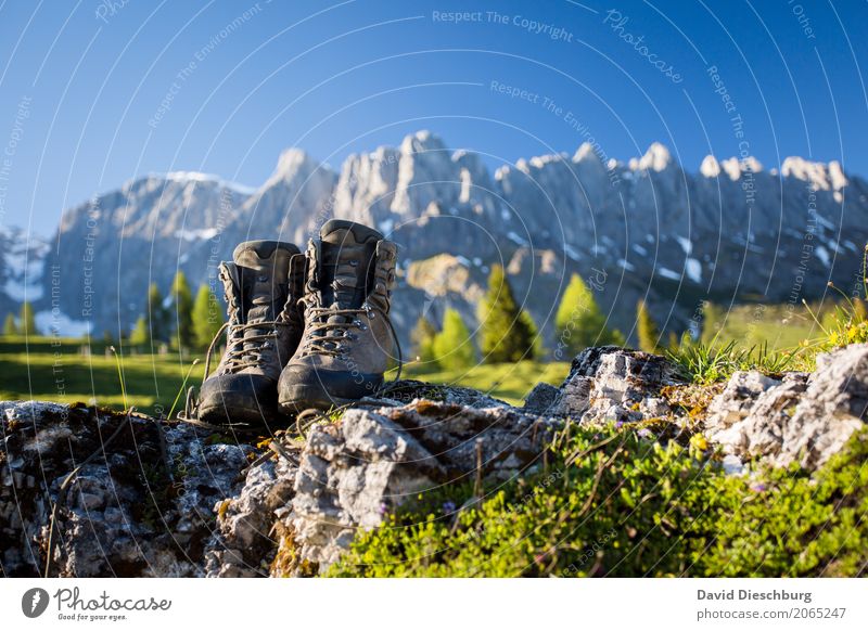 mountain age Vacation & Travel Tourism Trip Adventure Far-off places Freedom Expedition Summer vacation Mountain Hiking Landscape Cloudless sky Sunrise Sunset