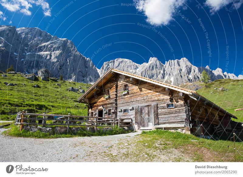 mountain hut Vacation & Travel Tourism Trip Expedition Summer vacation Mountain Hiking Nature Landscape Sky Clouds Spring Beautiful weather Plant Meadow Rock