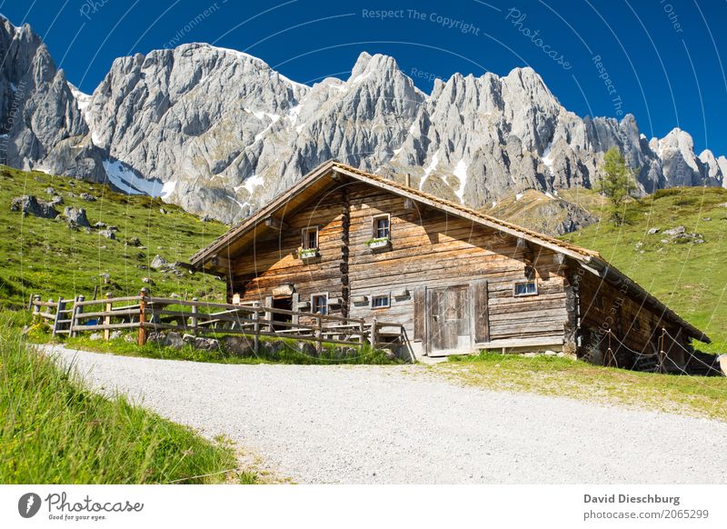 mountain hut Calm Vacation & Travel Tourism Adventure Freedom Summer Summer vacation Mountain Hiking Landscape Cloudless sky Spring Beautiful weather Plant