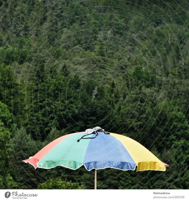 Summer, sun, parasol Vacation & Travel Summer vacation Nature Beautiful weather Sunshade Bikini Forest Leisure and hobbies Tourism Multicoloured Colour photo