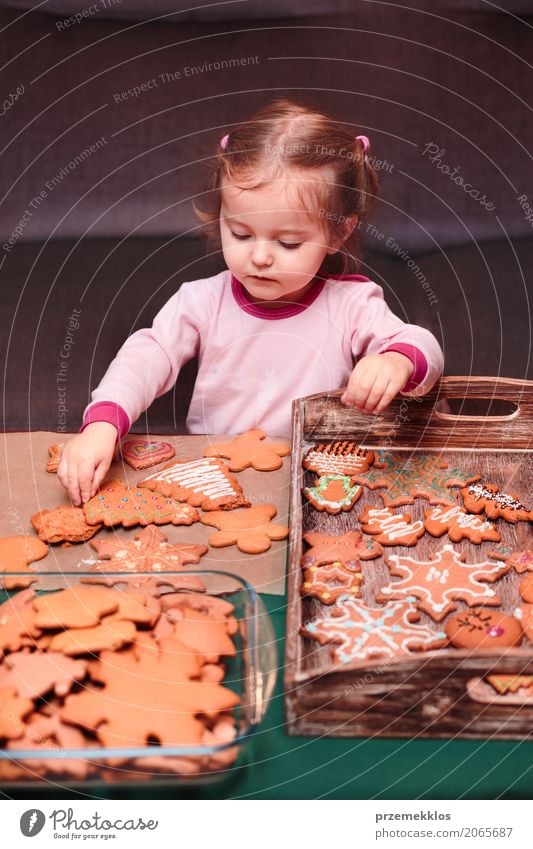 Little girl placing Christmas gingerbreads on wooden tray Lifestyle Decoration Table Feasts & Celebrations Christmas & Advent Child Human being Toddler Girl 1