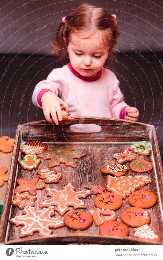 Little girl placing Christmas gingerbreads on wooden tray Decoration Table Feasts & Celebrations Child Human being Toddler Girl 1 1 - 3 years String Make