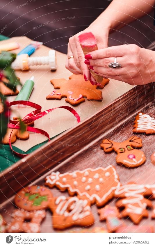 Woman decorating baked Christmas gingerbreads with frosting Lifestyle Decoration Table Feasts & Celebrations Christmas & Advent Adults Hand 1 Human being Make