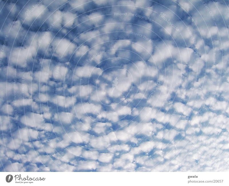 cotton wool clouds Colour photo Exterior shot Pattern Structures and shapes Deserted Day Nature Air Sky Clouds Weather Soft Blue Neutral Background