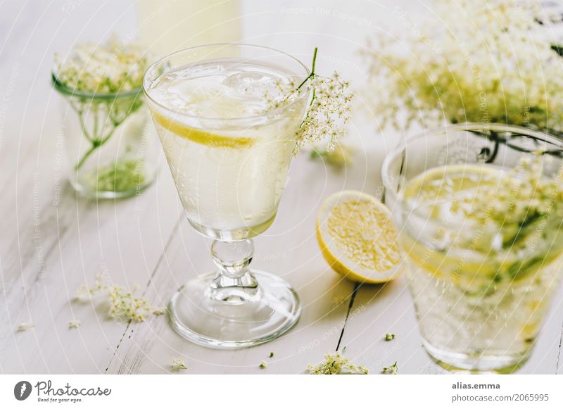 elderflower spritzer Elderflower Blossom Spritzer Water Beverage Drinking Lemon Glass Fresh Cooking Vintage Delicious Refreshment recipe Summer Sweet