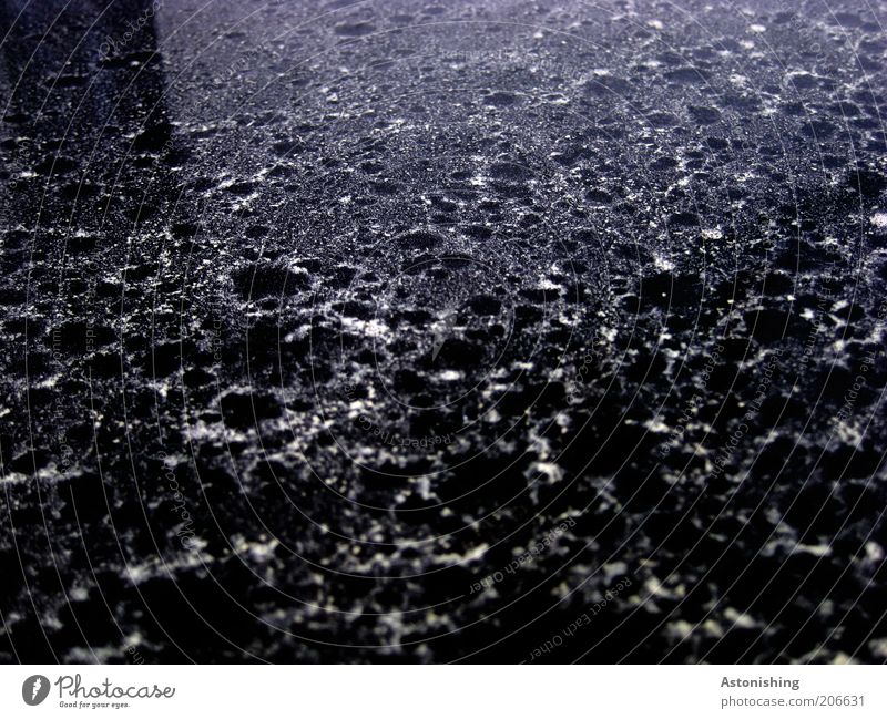 dust Nature Elements Water Rain Dark Gray Black White Dust Point Reflection Surface Rainwater Detail Close-up Dried Drops of water Dusty Remainder