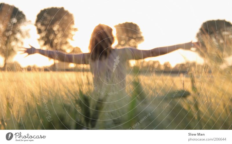 touched by the sun... Feminine Back Arm Naked Cornfield Field Sunlight Sunbeam Woman Disperse Natural Nature Plant Grain field To enjoy Light heartedness Autumn