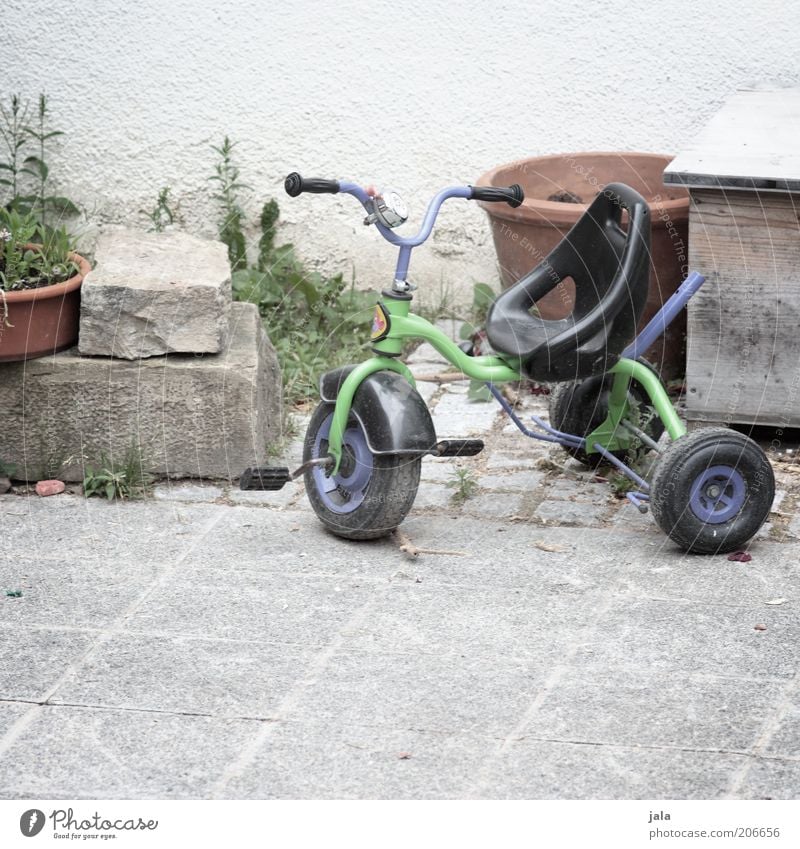 tricycle Pot plant Facade Tricycle Stone Green Violet Colour photo Exterior shot Deserted Copy Space bottom Day Stone floor Toys Backyard Parking