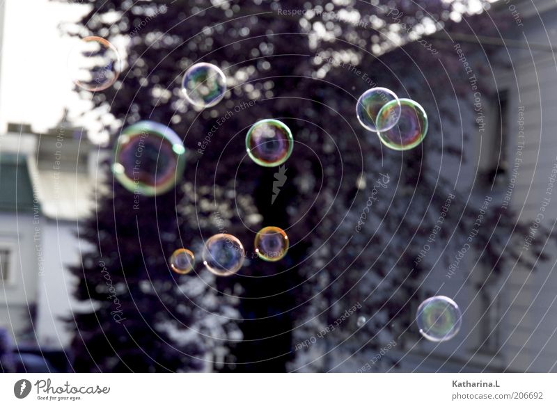 bubbles Sphere Glittering Wet Natural New Above Round Soap bubble Exterior shot Deserted Day Reflection Blur Hover Weightlessness Ease Go up Spherical
