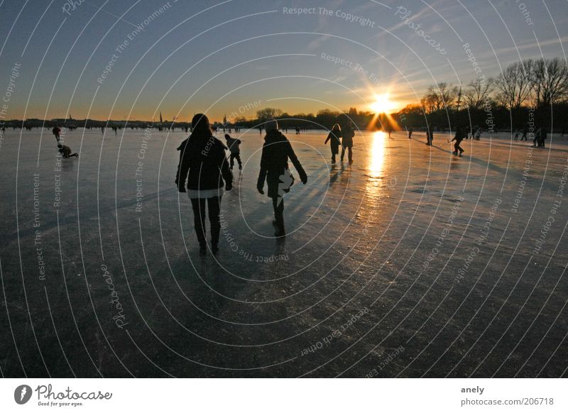 icy Winter Human being Ice Frost Lake Alster Hamburg Going Life Uniqueness Relaxation Moody Frozen Black ice To go for a walk Nature Air Frozen surface