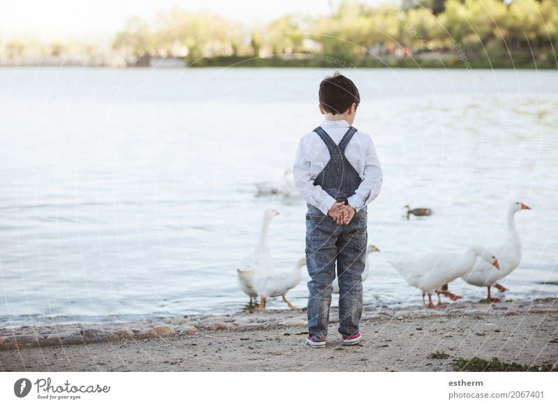 Thoughtful child on the lake. Back view Lifestyle Vacation & Travel Freedom Human being Masculine Child Toddler Boy (child) Infancy 1 3 - 8 years Spring Summer