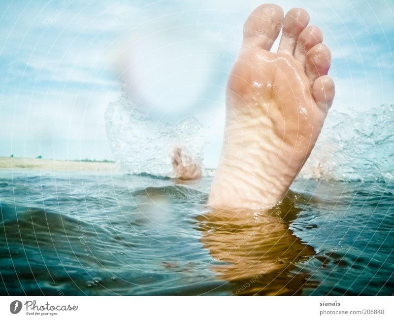 With foot Joy Wellness Life Vacation & Travel Freedom Summer vacation Ocean Human being Masculine Feet 1 Water Lake Swimming & Bathing Happiness Brandenburg