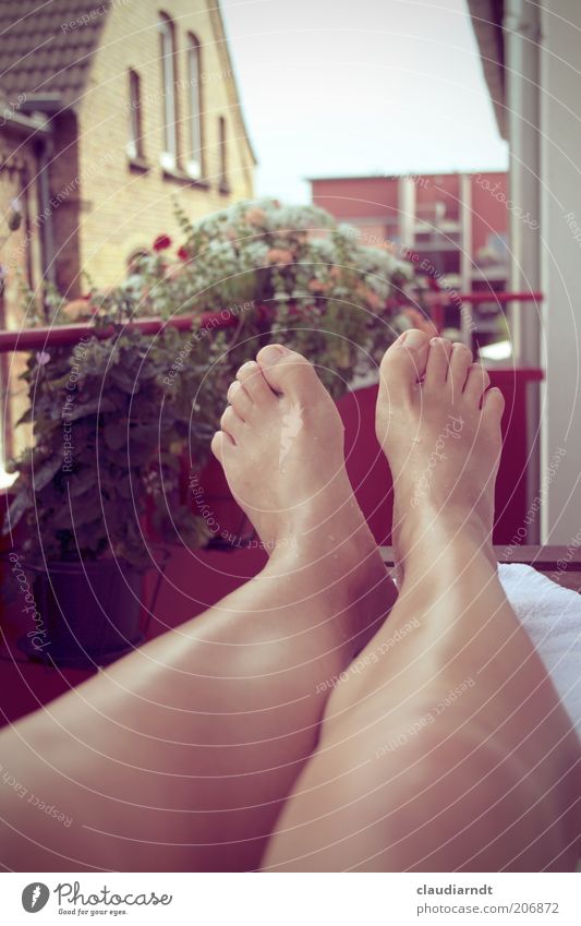 Summer in front of balcony Relaxation Summer vacation Balcony Balcony plant Human being Legs Feet 1 Put one's feet up Toes Warmth Knee Break Retro Colours
