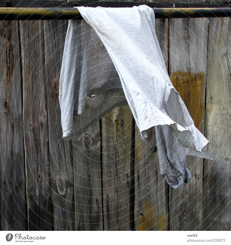 hung Movement Hang Old Clean Dry Cleanliness Purity Laundry Clothing Textiles Shirt Broken tattered Undershirt Wooden wall Rod Wind Breeze Colour photo