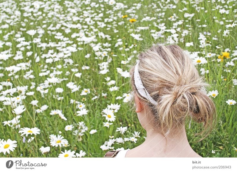 by the sea of flowers Feminine Young woman Youth (Young adults) Head Hair and hairstyles green Meadow Summer Flower meadow Marguerite Looking Dream Daydream
