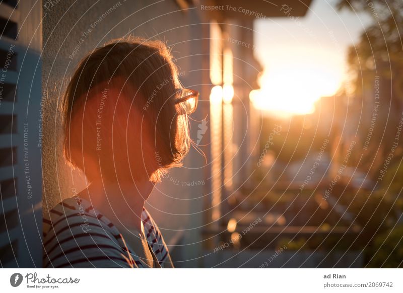 Sun deck I Human being Feminine Woman Adults Head Hair and hairstyles 1 30 - 45 years Environment Sky Horizon Sunrise Sunset Sunlight Summer Town Skyline