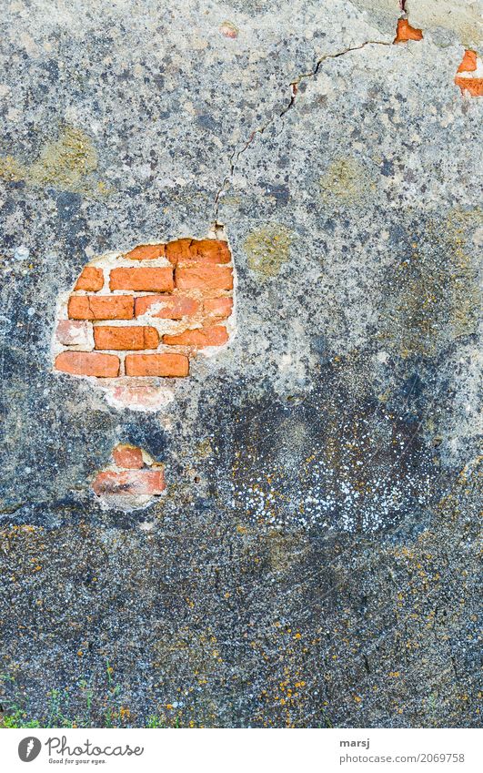 broken l the plaster crumbles Manmade structures Wall (barrier) Wall (building) Facade Brick Plaster Brick red stonewalled Old Sadness Senior citizen End