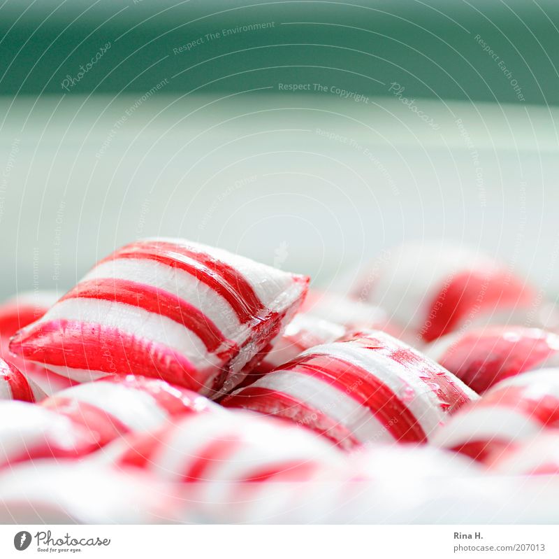 peppermint Candy Plate Fresh Delicious Retro Pink Red White Happy Happiness To enjoy Sugar Colour photo Deserted Copy Space top Shallow depth of field Sweet