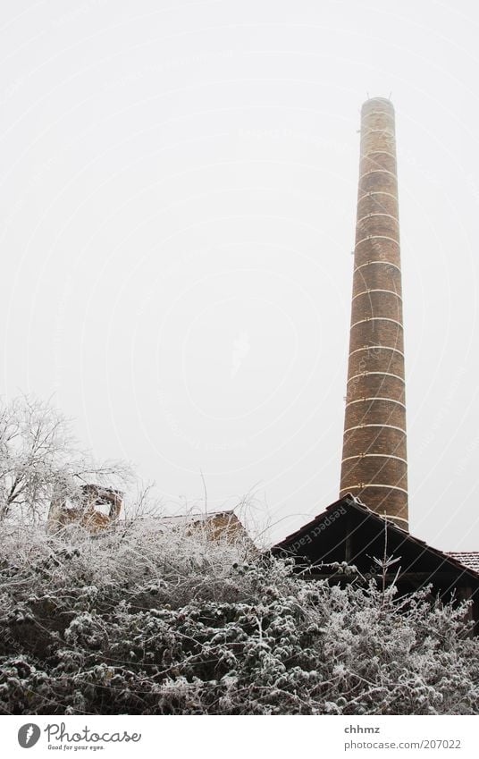 Cold fireplace Tree Bushes Industrial plant Factory Chimney Stone Old Brown Frost Decline Sky Gray Winter Hoar frost Snow Colour photo Subdued colour