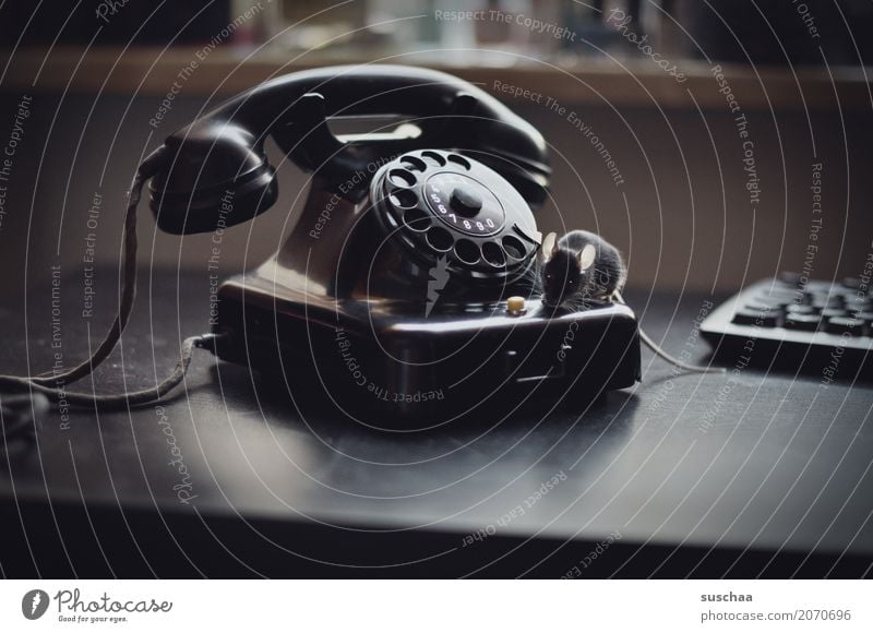 phone (with mouse) Mouse Animal Pet Mammal Tails Telecommunications Old phone Telephone Rotary dial Bakelite Phone Curiosity Connection Office Animalistic Funny