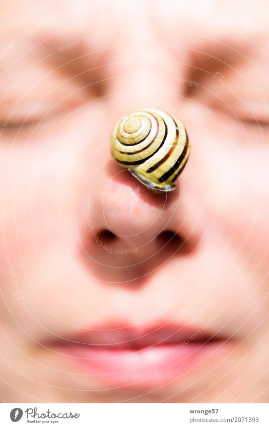 Nose snail II Human being Feminine Woman Adults Female senior Face 1 45 - 60 years Animal Wild animal Snail Small Yellow Pink Black Eyes Mouth Portrait format