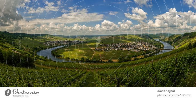 Moselle loop Vacation & Travel Tourism Trip Sightseeing Hiking Nature Landscape Water Sky Beautiful weather Hill River bank Vineyard lei Trittenheim