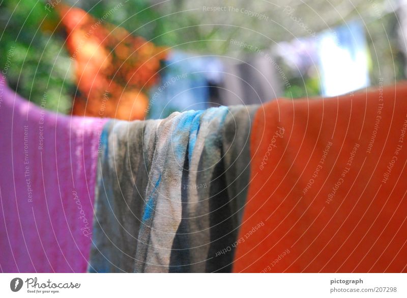 summer underwear Summer Beautiful weather Towel Clothesline Laundry Hang Clean Calm Colour Colour photo Exterior shot Close-up Deserted Day