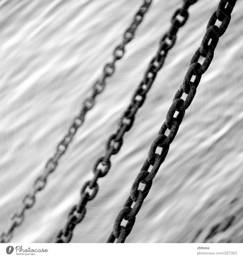 chain rattles Water River Navigation Inland navigation Steel To hold on Gray Chain 3 Iron Chain link Black & white photo Exterior shot Day