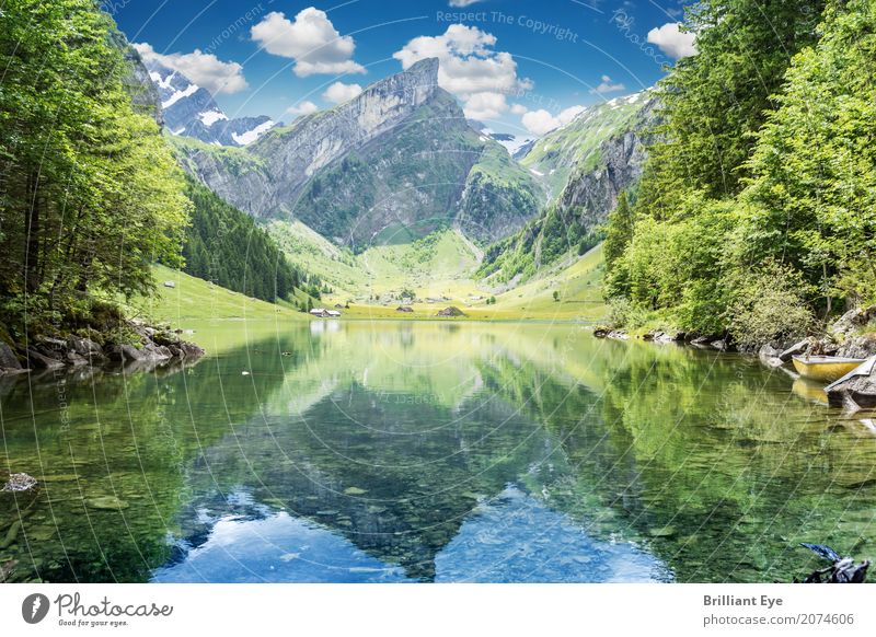 Seealpsee, Appenzell Alps Vacation & Travel Nature Landscape Water Spring Mountain Lake Esthetic Beautiful Warmth Uniqueness Relaxation Idyll Pure Stagnating