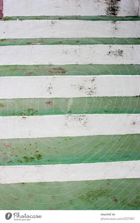 upstairs Stairs Stripe Tall Green White Symmetry Stone steps Dirty Section of image Contrast Alternating Upward Colour photo Exterior shot Detail Abstract
