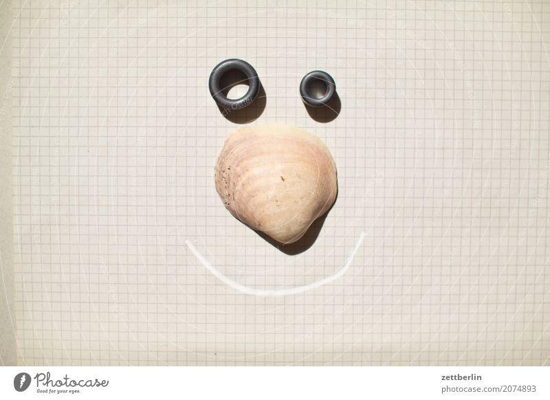 Intentionally friendly Face Mussel Mussel shell Shell Shell-bearing mollusk Sheath Whimsical Eyes Nose Mouth cartoon Looking Portrait photograph Neutral Smiling