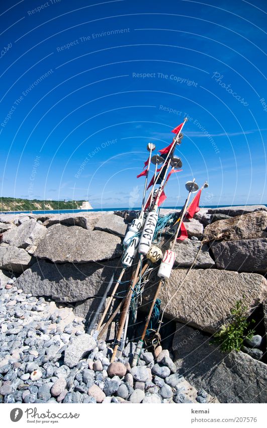 Cape Arkona Environment Nature Landscape Water Sky Summer Climate Beautiful weather Warmth Rock Kreidefelsen Cap Arcona Baltic Sea Ocean Island Rügen