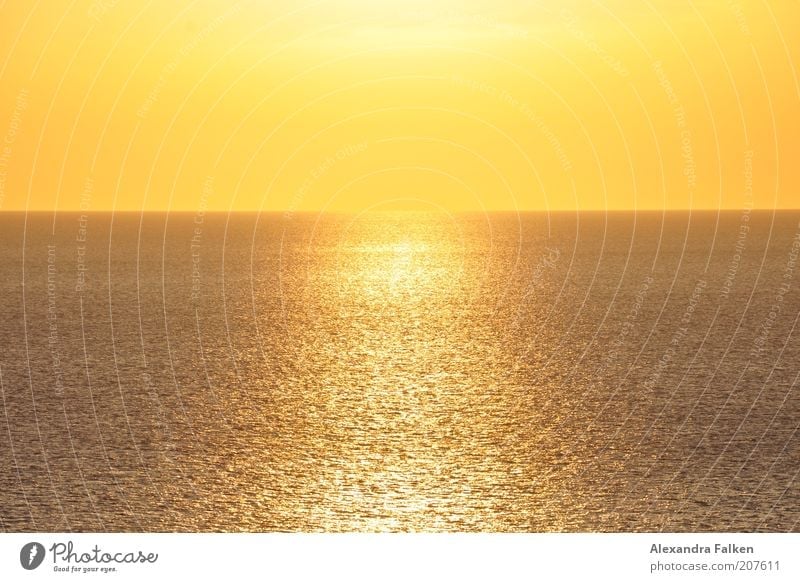 Sun meets sea. Harmonious Calm Far-off places Summer Ocean Infinity Warmth Yellow Gold Apocalyptic sentiment Orange Colour photo Exterior shot Deserted Evening