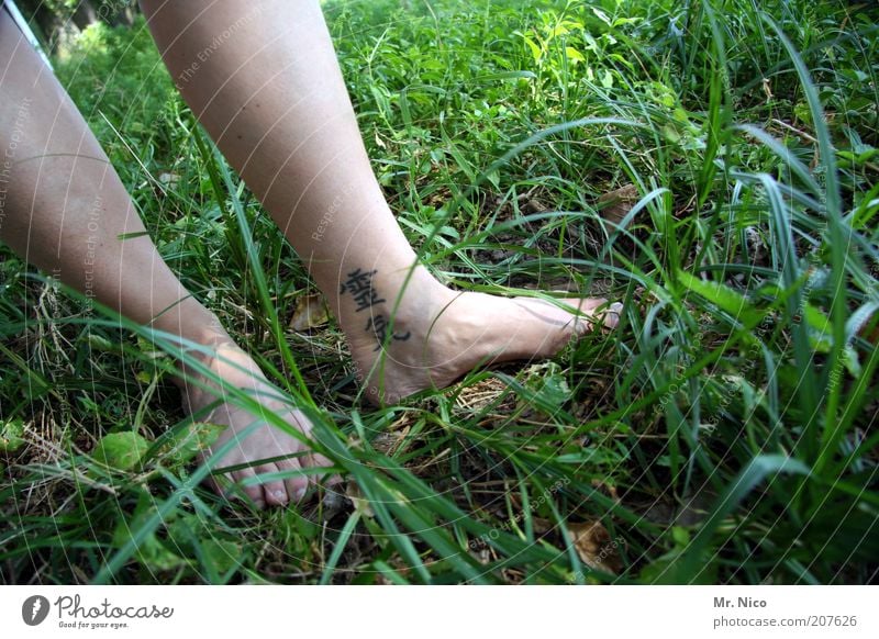 reiki Well-being Contentment Relaxation Calm Skin Legs Feet Grass Meadow Tattoo Green Barefoot Reiki Calf Toes Woman's leg Healthy Spirituality