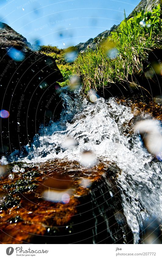 refreshment Life Mountain Environment Nature Water Drops of water Summer Beautiful weather Plant Grass Alps Grimsel pass Brook Waterfall Switzerland Europe